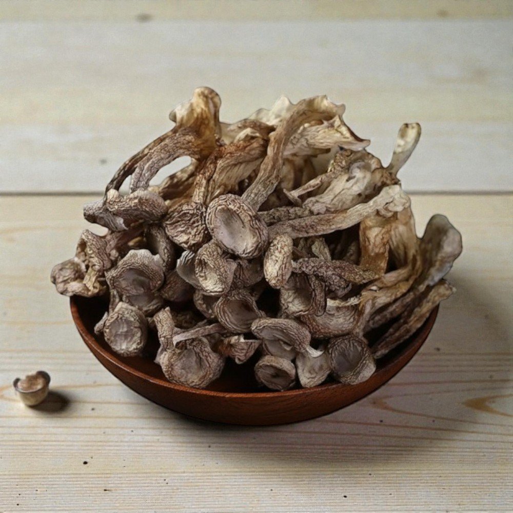 0_1 【Gan Xin柑心良品】鹿茸菇60g-4包組